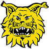 Tampereen Ilves Ii